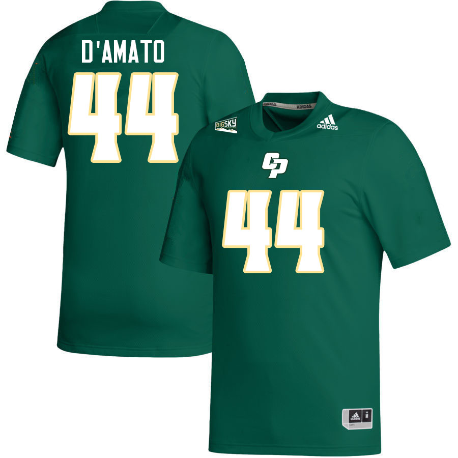 Cal Poly Mustangs #44 Mikey D'Amato College Football Jerseys,Uniforms Stitched-Green